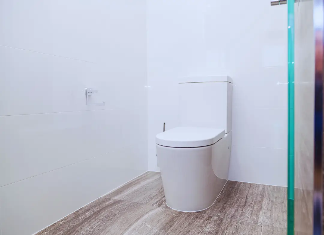 Remplacement de wc Saint-Martin-du-Var